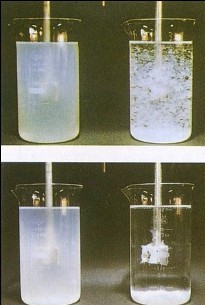 生石灰轉化為熟石灰